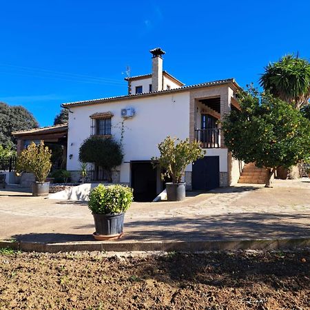 הוילה Setenil De Las Bodegas Casa Albarracin מראה חיצוני תמונה